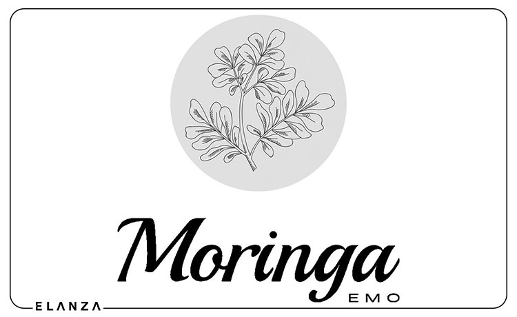 مورینگا (Moringa)