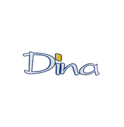 دینا(Dina)