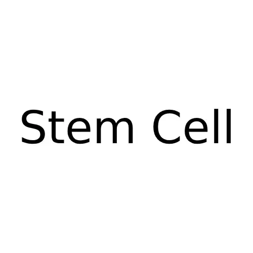 استم سل (Stem Cell)